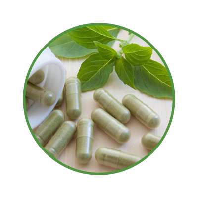 Ayurvedic Capsule, ayurvedic partner
