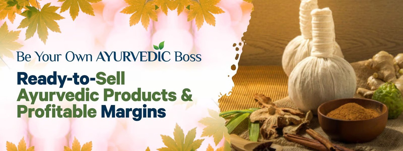 ayurvedic partner slide