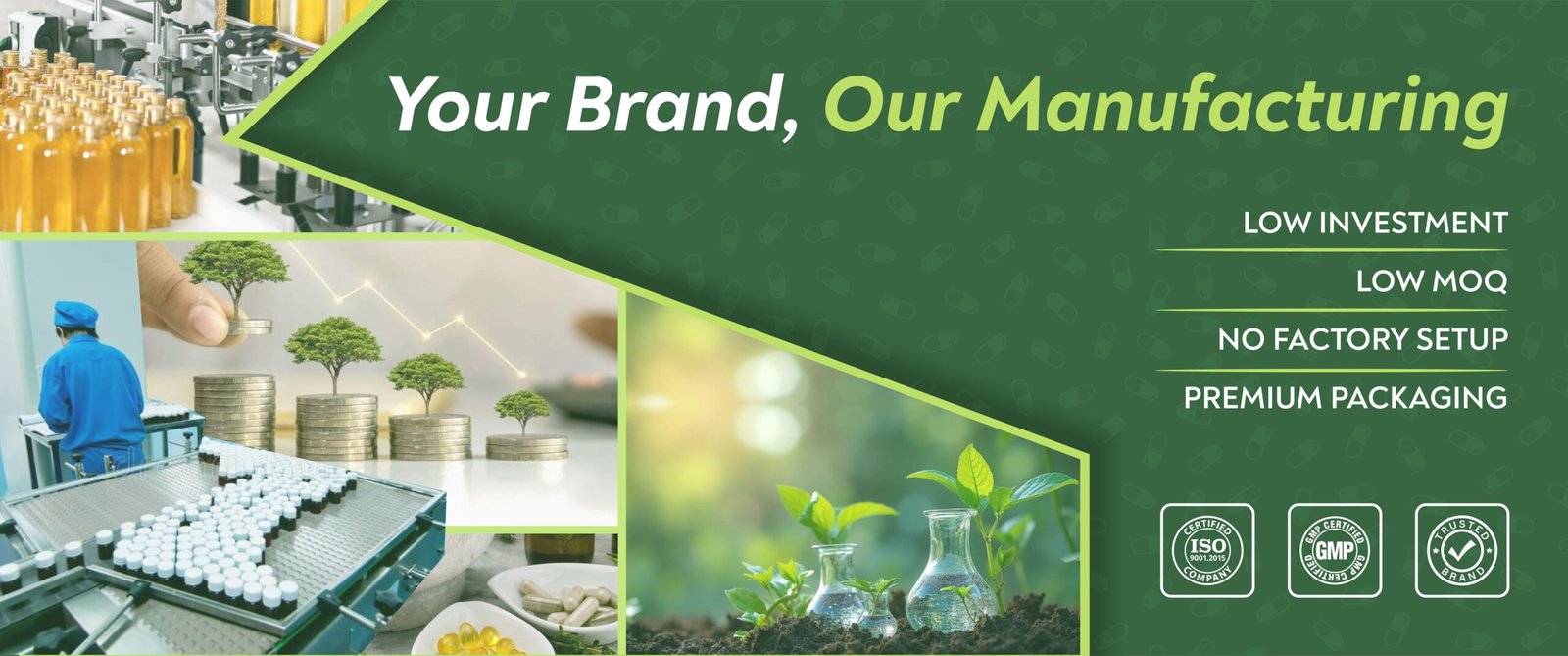 Ayurvedic partner third party manufacturing